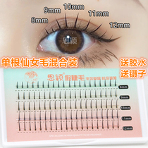 Siying combination fairy hair grafting eyelashes Flower fairy self-false eyelashes natural simulation single cluster embellishment