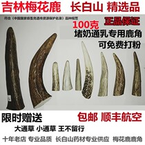 Jilin MeFlower Deer Antlers Corner Deer Antlers 100 gr Changbai Mountain pure and old Luc Point Entrance Medicine