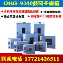 DHG-9240 Electric constant temperature blast oven Oven Blast oven Oven