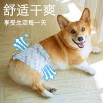 Dog health pants Teddy small dog underwear male dog safety pants diapers pet diapers
