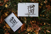 Spot 2020 Yang Fiduo meet in the word hardcover version gift box green velvet notebook