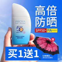 Peleya Sailing Sunscreen Cream Military Training Female Student Party Mens Face Special Isolation Milk Anti-ultraviolet