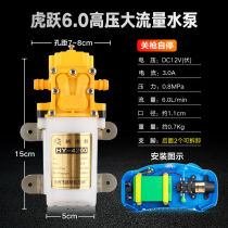 2021 New sprayer water pump 12V high pressure agricultural car wash high power pump head Motor micro small water pump