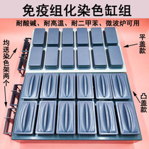 Immunohistochemical antigen repair box Combined staining cylinder Plastic staining cylinder group 24 pieces plastic staining frame