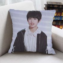 New TF family Zhu Zhixin surrounding the same pillow photo custom cute double-sided humanoid