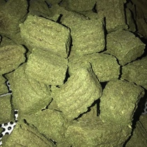 Tim Moshe clover fruit tree handmade dragon cat Rabbit Dutch pig hamster grinding tooth big grass brick hard to crack