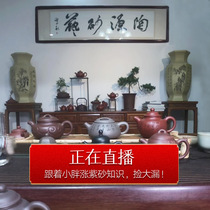 (Tao Yuan 13-year-old shop)Yixing purple clay pot handmade teapot set famous leak-picking live special shot 