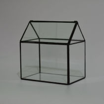 Micro Landscape Geometry Glass Flower House Meat Plant Glass