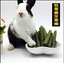 Pet Food Clover Grass Stick Small Flattering Tooth Zero Food Dragon Cat Mixed Pasta Rabbit Grindstone Grassy
