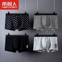 Antarctic Peoples Bendies Mens underwear Mens underwear Mens Pants Pants Bull years pure cotton Hon. Great Red Wedding Youth Shorts Socks