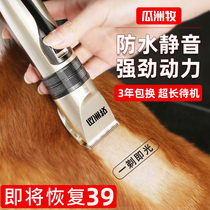 Dog shaving pet electric clipper Teddy cat shaving dog hair professional electric push trimmer hair haircut foot hair artifact