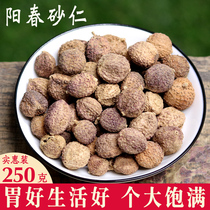 Authentic Yangchun Amomum 250g Spring Amomum Amomum Yangchun specialty dried fruit Chinese herbal soup ingredients for nourishing stomach spices steamed meat