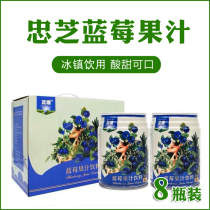 Yichun Zhongzhi Blueberry Juice Beverage Wild Blueberry Juice High Concentration Fruit Juice Beverage Cans Gift Box