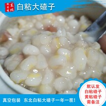 Northeast white corn sticky ballast farmers produce Heilongjiang bracts ballast corn crushed corn grits 5 kg