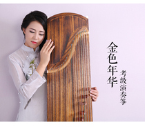 Mi Le Tongmu solid wood performance grade guzheng introductory test guzheng pure paulownia plain playing guzheng