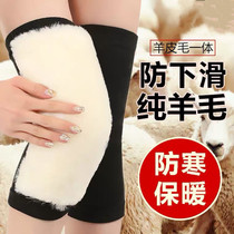 Japan wool care kneecap warm and old chill legs male and female joint elderly special comfortable cashmere winter thickened kneecap cover