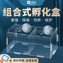 Guppies breeding box Incubation box Acrylic fish tank isolation box ovipositor fish egg breeding box small fish delivery room