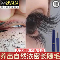Cavira eyelash enhancer official website fast thickening natural eyebrow growth female Li Jiaqi recommended Qi