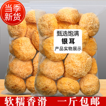 New delivery of rubber white fungus dry goods super wild 500g Gutian ugly snow ear white fungus super soft lotus soup