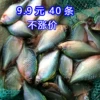 Товары от whitechuan