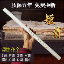 Dongxiao musical instrument beginner three sections eight-hole anti-cracking six-hole backhand A down B tune E tune C short Xiao