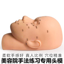 Beauty head model massage beauty practice model facial props silicone acupoint bald head model dummy head