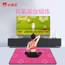 Little overlord TWT01 somatosensory game shooting gun home yoga dancing blanket thickened TV double somatosensory game