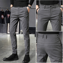 Mens casual pants Mens Korean version of the tide brand small trousers Slim straight tube work business mens summer new trousers