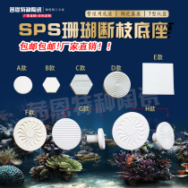 sps coral broken branch base breeding base button base Sea Coral breeding ceramic base Factory Direct