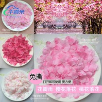 Tear-free simulation petals fake petals hand-throwing flower photography decoration stage flower peach blossom petals cherry blossom flower petals rain