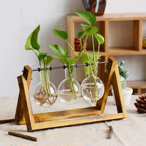 Ale Xuan creative hydroponic plant transparent glass vase desktop hipster container living room Modern ornament pendulum