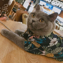Pet Cat Dog Clothes Tide Brand Custom Summer Thin Teddy Bome Chiffon Shirt Air Conditioning Clothing