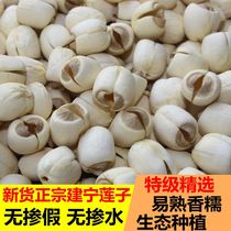 2021 Fujian Jianning lotus seeds dry goods farmhouse to core new products sulfur-free handmade fresh heartless white lotus seeds 500g