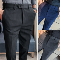 Advanced Senses Casual Striped Western Pants Mens Spring Autumn Money Business Positive Dress Pants Korean Version Trendy West Clothing Pants