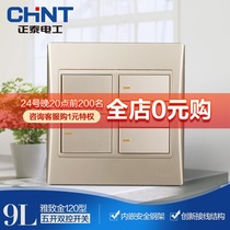 Chint Electrician 120 NEW9L Safety Steel Frame Wall Switch Socket Golden Five-Open Double Control