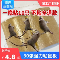 30 mouse stickers strong sticky mouse board glue big mouse catcher mouse catcher mouse trap oversized