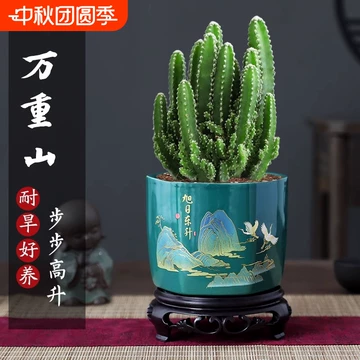 時代提物 仙人根付 天然素材 在銘光之【人間万事塞翁が馬】高7.8cm 重19g 万重山仙人掌盆栽-万重山仙人掌盆栽促销价格、万重山仙人掌盆栽品牌- 淘宝