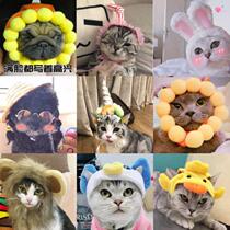 Shiba Inu birthday cartoon Pet modeling hat Golden retriever cute cat and dog Universal bullfighting decorative hat Dog funny dress up