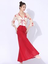 Chinese dance classical dance rehearsal for womens clothing body rhyming clothes flutter and elegant wind suit to perform sensical qi