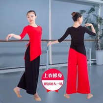 Dance Dress Rehearsical womens body clothes Classical dance teacher jacket Modern ethnic dance-based training suit suit