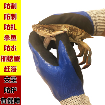 Germany imported cutting-proof gloves steel wire killing fish gardener catch crab anti-clamp wear-resistant chestnut
