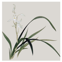 Embroidery diy Handmade Antique Material Package Embroidery Students Su Embroidery diy Initial Embroidery Basic Orchid etc