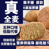 Coarse grain bread Diet Special Chiaya Seed Low Fat Staple Food Dinner Europack o0 during whole wheat slimming period