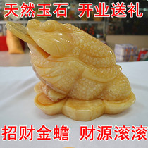 Opening gift ornaments golden toad lucky jade feng shui large golden toad living room office shop hotel gift