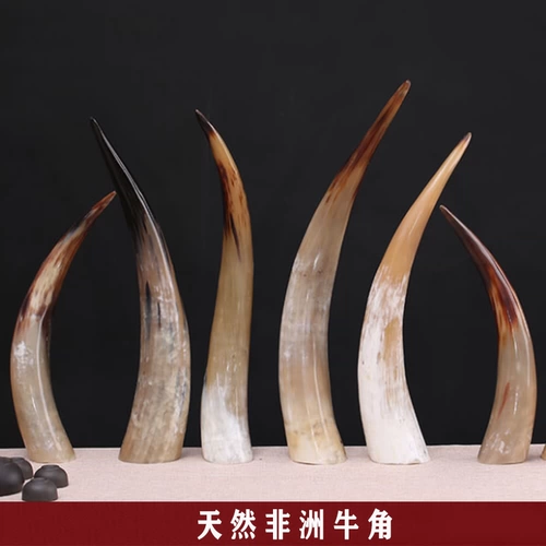 Большое африканское роговое украшение натуральное офисное украшение як рога