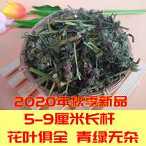  Yimeng Fresh wild Safflower Long stem Motherwort Tea Sun-dried Chinese Herbal medicine conditioning Aunt Qi and blood 250g