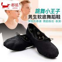 Childrens dance shoes womens soft-soled shoes mens cat claw shape shoes black girls dancing shoes Ballet Chinese dance shoes