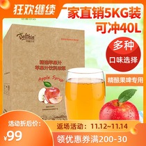 Dexinzhen choose red apple juice beverage thick pulp 5kg boxes milk tea shop special concentrated juice commercial drinking juice Juice