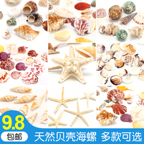 Natural shell conch starfish fish tank landscaping decoration ornaments Childrens handmade diy wind chimes drift bottle material