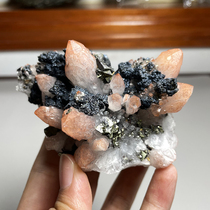 Natural pink crystal cluster symbiotic pyrite Bornite long tooth crystal cluster ornaments mineral crystal teaching specimen